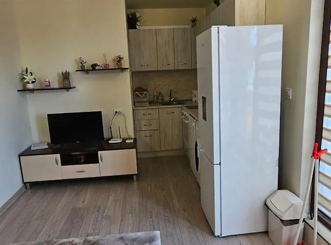 иванови сарафово