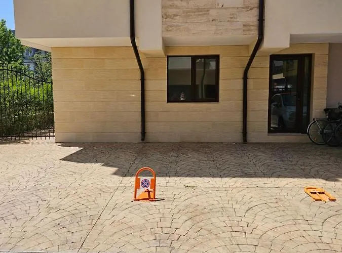 иванови сарафово *